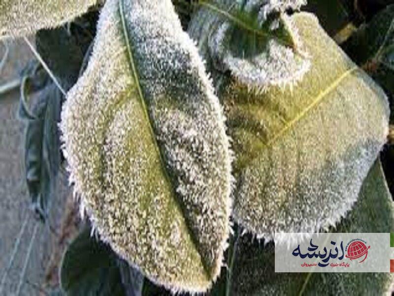 هشدار سطح نارنجی هواشناسی؛ تشدید فعالیت سامانه بارشی در راه است