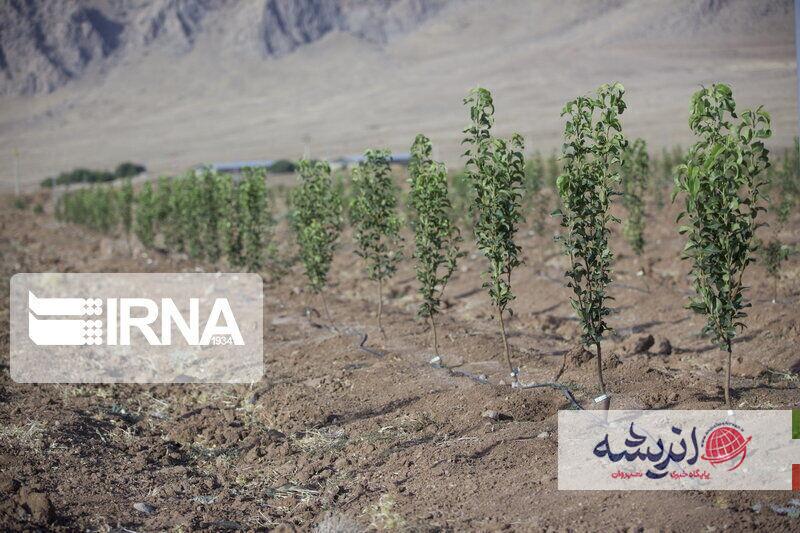 اجرای نهضت مردمی درختکاری در پایتخت