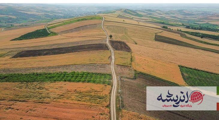 به منظور ارتقای تولید در دیمزارهای کم بازده؛ کشت گیاهان برتر برای دیمزارها معرفی می‌شوند