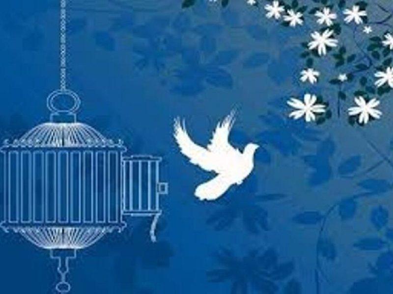 ۳۱ زندانی جرائم غیرعمد در زنجان آزاد شدند
