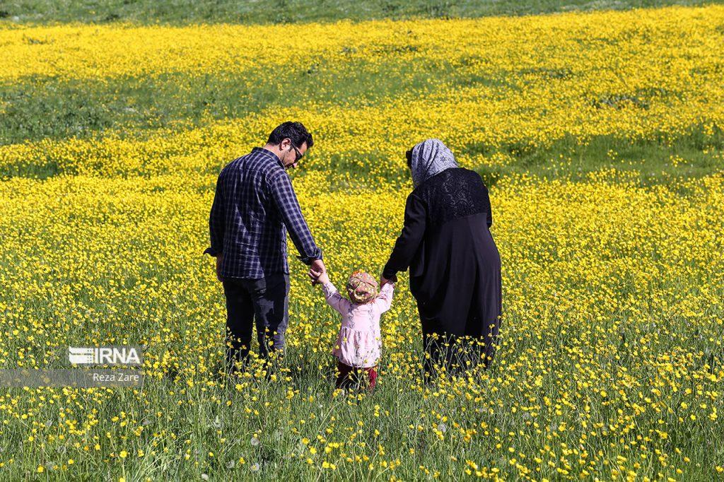 اندیشه شیروان