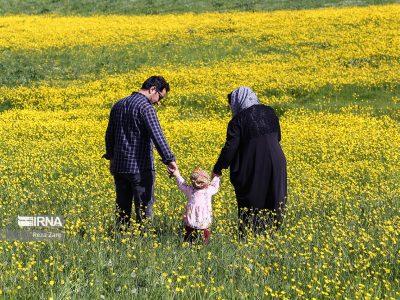 ادامه حیات فرزند، شرط بهره مندی از وام فرزندآوری نیست