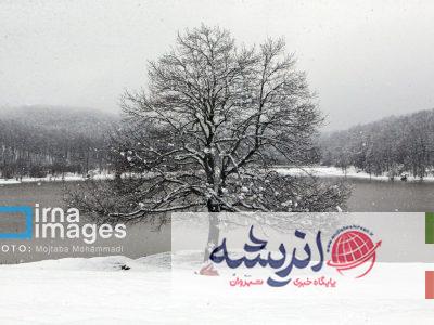 وزش باد و بارش پراکنده پدیده غالب جوی همدان