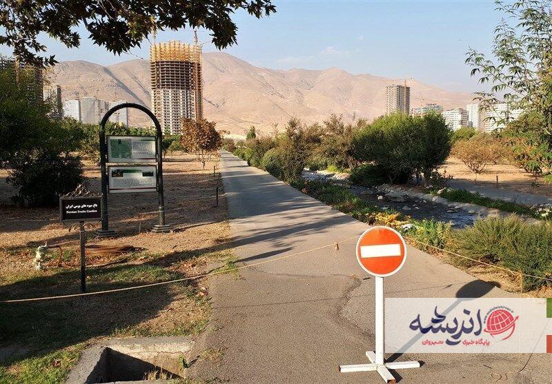 باغ‌های تاریخی شیراز قربانی توسعه نامتوازن شد