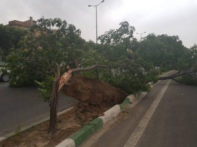 مصدومیت ۶ نفر در تهران به دلیل توفان شدید