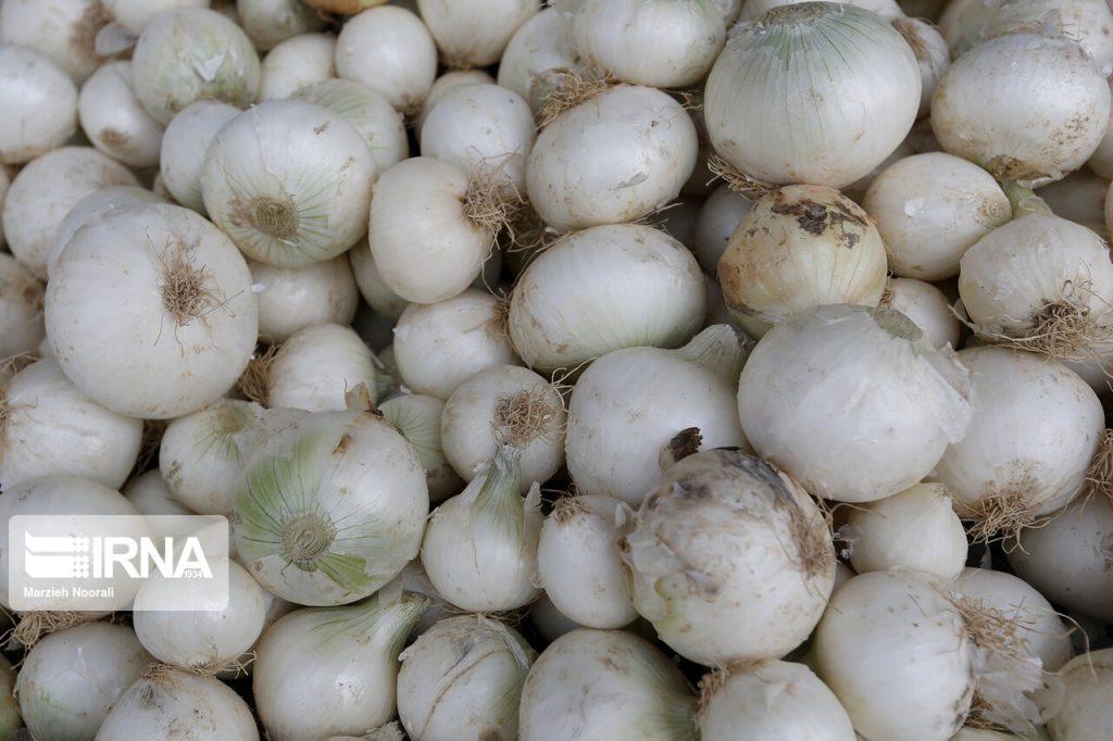 اندیشه شیروان