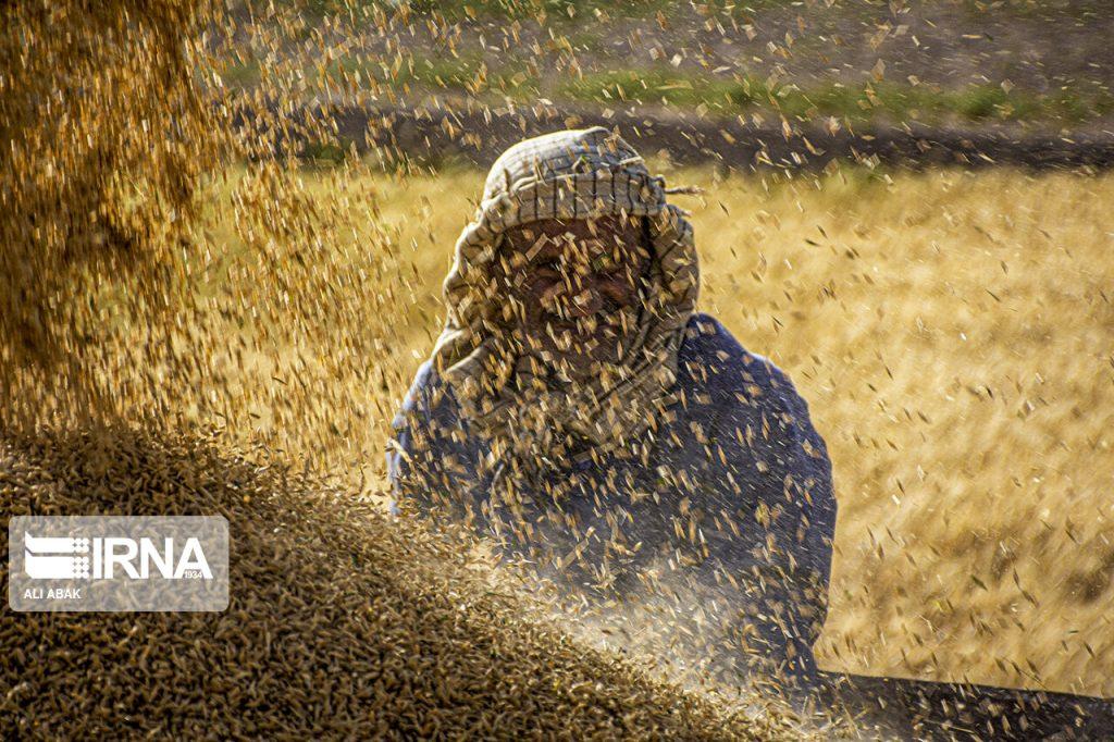 اندیشه شیروان