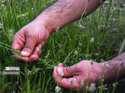 قشموندان جز جای پا، هیچ ردی از خود در طبیعت نگذارند