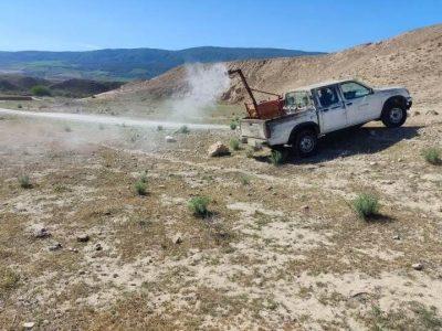 مبارزه با ملخ مراکشی در تربت‌ حیدریه آغاز شد