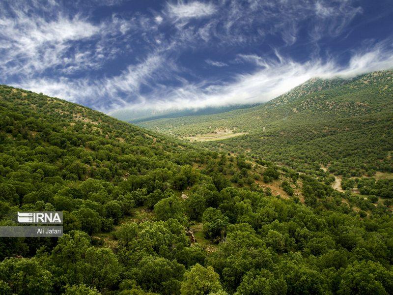  عروس دلربای زاگرس کجاست؟