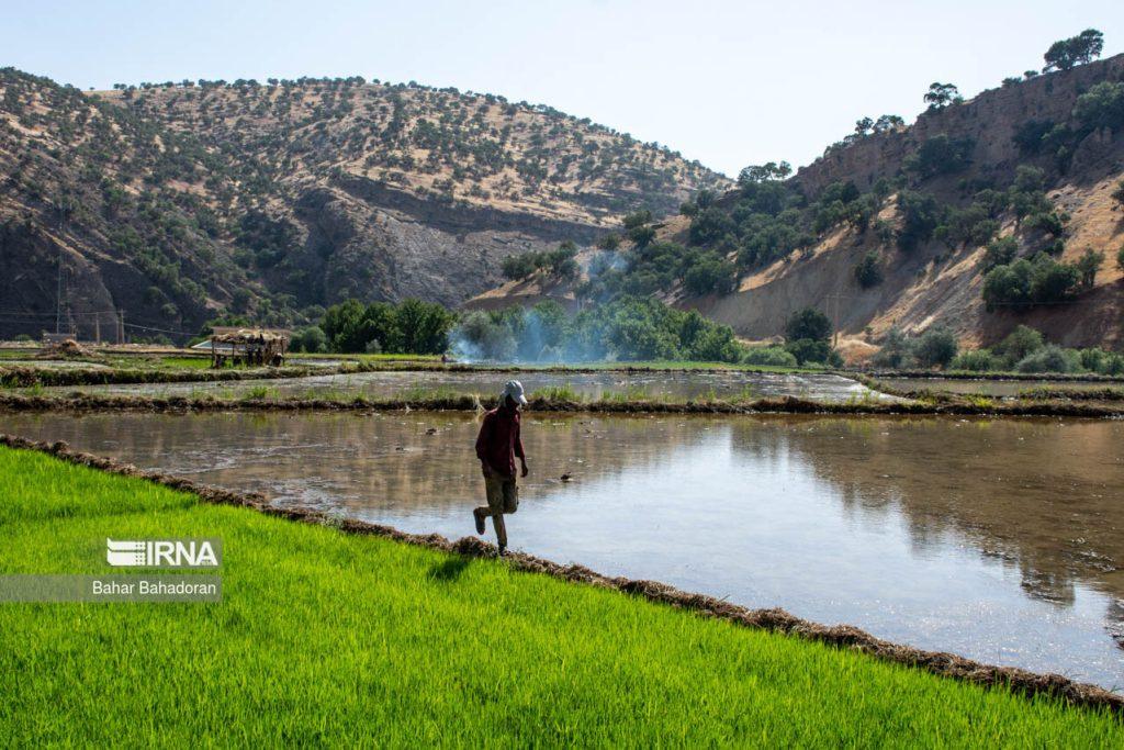 اندیشه شیروان