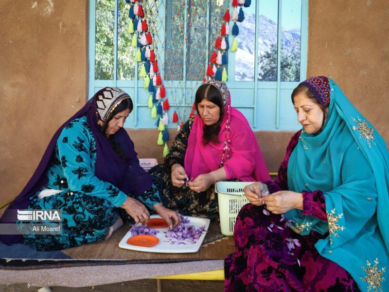 اتاق اصناف کشاورزی به طور رسمی آغاز به کار کرد