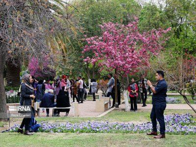 ایلام در رشد گردشگر نوروزی استان برتر شد
