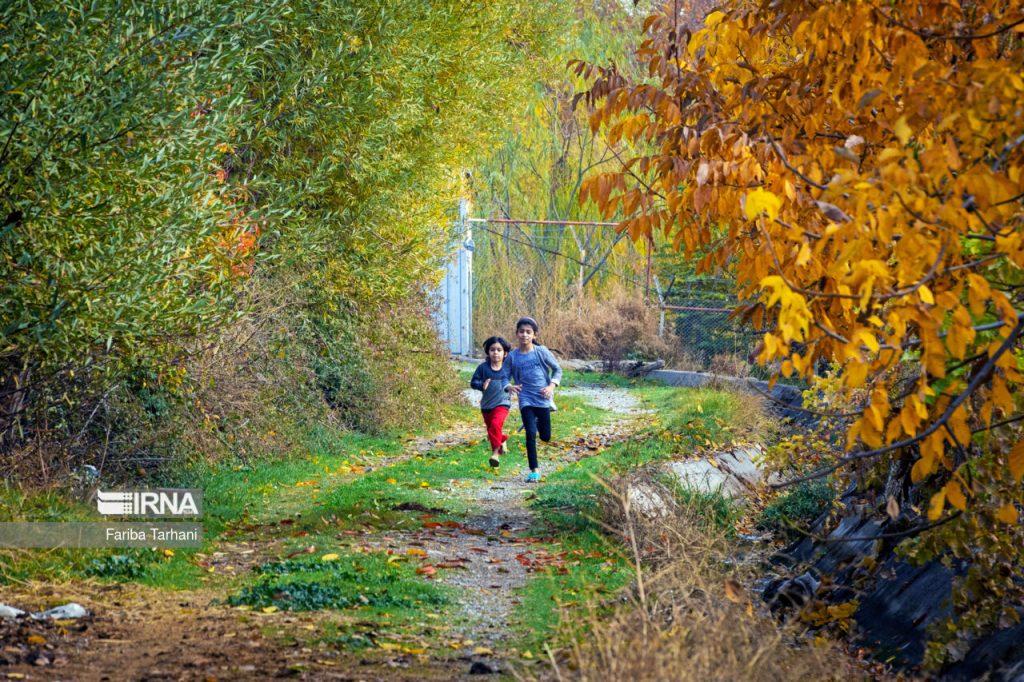 اندیشه شیروان