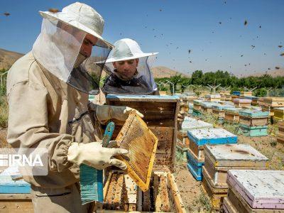 ۴۱۰ میلیارد ریال برای اشتغال‌زایی در روستاهای خراسان‌شمالی پرداخت شد