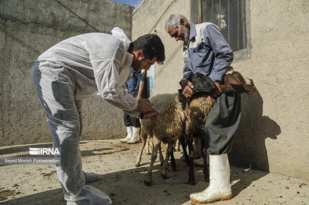 اندیشه شیروان