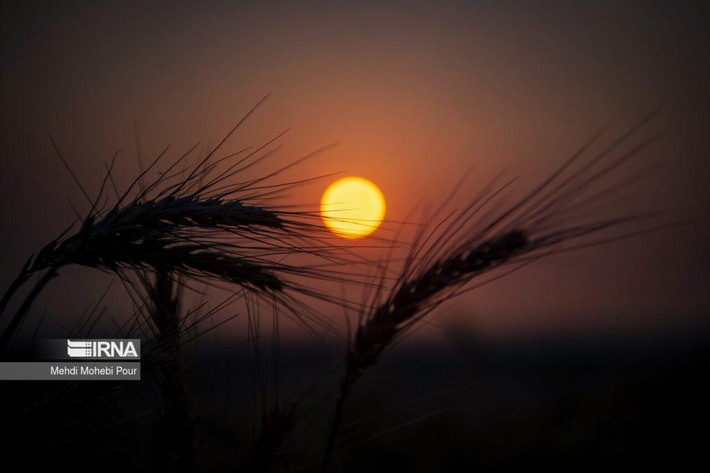 اندیشه شیروان