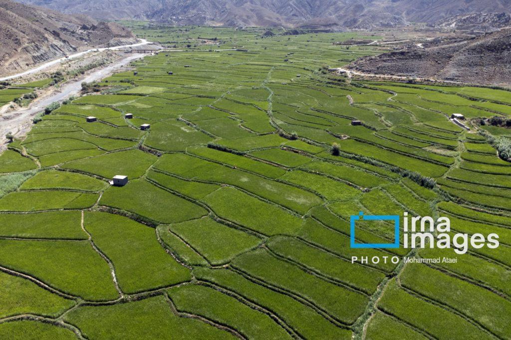 اندیشه شیروان