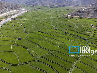 گلستان در تنگنای کم‌آبی؛ چگونه از فاجعه آبی به کشاورزی پایدار برسیم؟