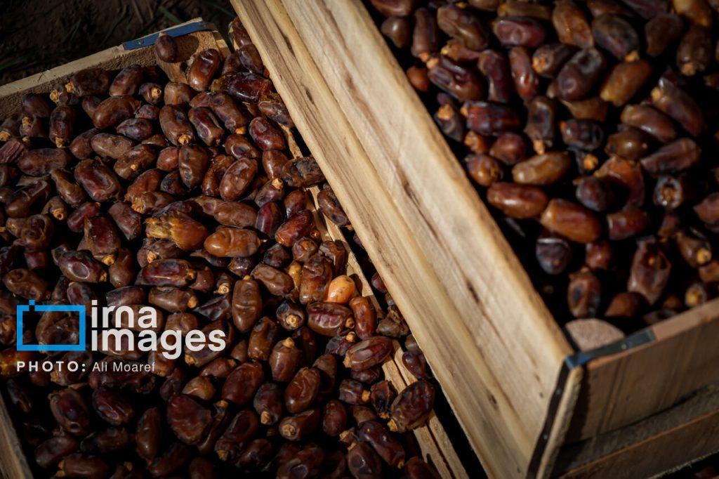 اندیشه شیروان
