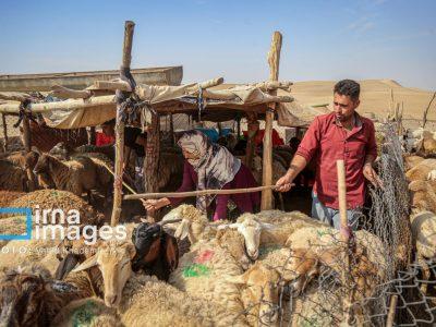 ۶۴۴ طرح اشتغالزایی عشایر لرستان به بانک‌ معرفی شد