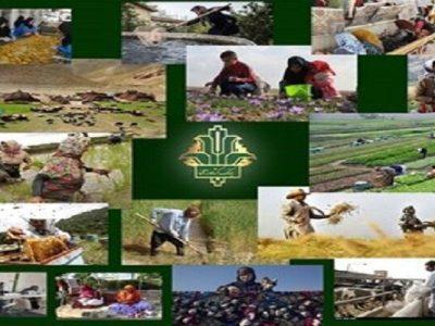 بانک کشاورزی بوشهر ۲۶۰۲ میلیارد ریال برای حمایت از کشاورزان پرداخت کرد