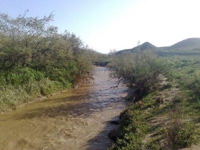 حد بستر و حریم ۲۷۳ کیلومتر از رودخانه‌های مازندران در سال ۱۴۰۳ تعیین شد