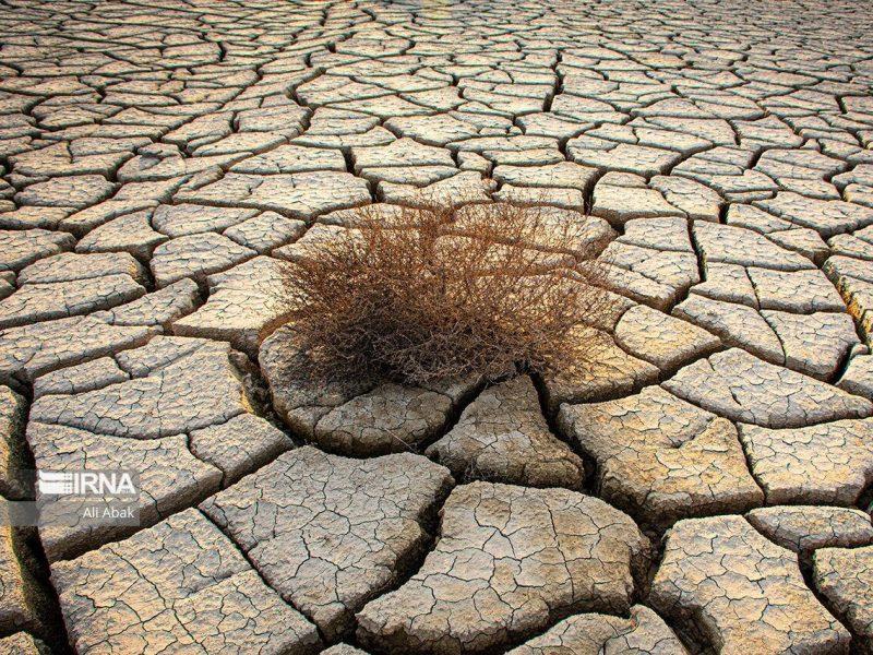 فارس یک دهه با خشکسالی روبرو است/ جنوب استان در بحرانی‌ترین وضعیت