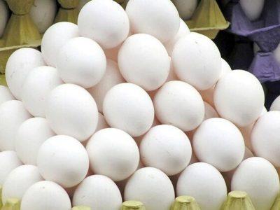 تولید تخم‌ مرغ در زنجان ۳۶ درصد افزایش یافت