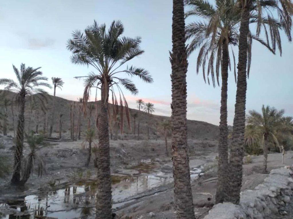 اندیشه شیروان