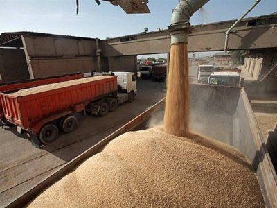 کیفیت ملاک بهای گندم؛ ناخالصی مشمول کاهش قیمت