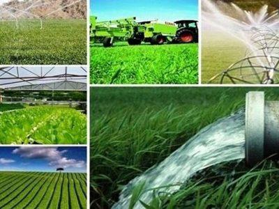 بانک کشاورزی بوشهر ۳۰ هزار میلیارد ریال تسهیلات پرداخت کرد