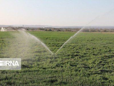 ۱۹۳۹ هکتار از مزارع اصفهان به سامانه‌های نوین آبیاری مجهز شد