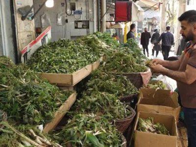 رنگینی سفره کردستانی‌ها از دامن سبز مراتع