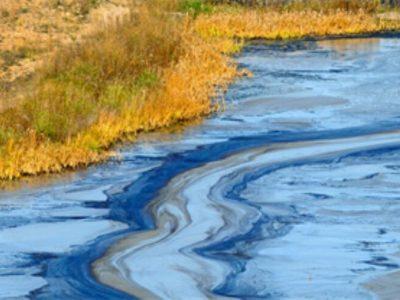 پساب شیمیایی کارخانه‌ای در سرخه بلای جان طبیعت