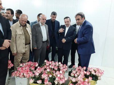 استاندار قزوین: تقویت سرمایه‌گذاری اولویت مدیران باشد