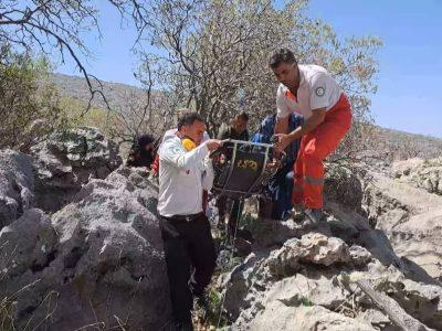 گردشگران مراقب گزش حشرات و جانوران در طبیعت باشند