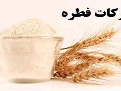 ۵۲۰ میلیارد ریال زکات فطریه در کردستان جمع آوری شد