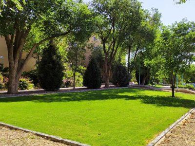 گام علمی اصفهان برای سازگاری فضای سبز با بحران کم آبی