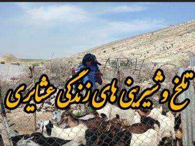 فیلم / تلخی و شیرینی‌های زندگی عشایری