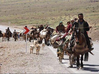 کوچ بهاره عشایر استان یزد به مناطق ییلاقی آغاز شد