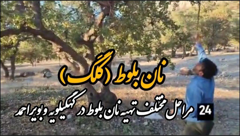 اندیشه شیروان