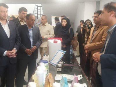 هزار مگاوات نیروگاه خورشیدی در دانشگاه‌های کشور احداث می‌شود