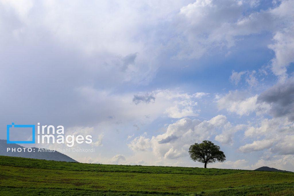 اندیشه شیروان