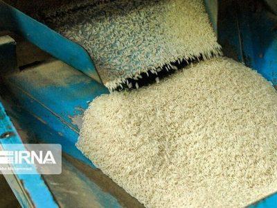 معاون وزیر جهاد کشاورزی: قیمت‌گذاری دستوری باعث التهاب‌ بازار برنج شد