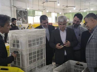 گلستان در مسیر تبدیل به قطب سرمایه‌گذاری؛ برنامه‌ اقتصادی دولت رونمایی شد