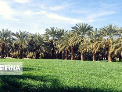 «دلگان» از کانون‌های توسعه سیستان و بلوچستان در بخش کشاورزی است