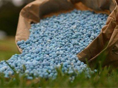 ۶۳۰ تن کود شیمیایی جدید برای پاسخ به نیاز شالیکاران در مازندران توزیع شد