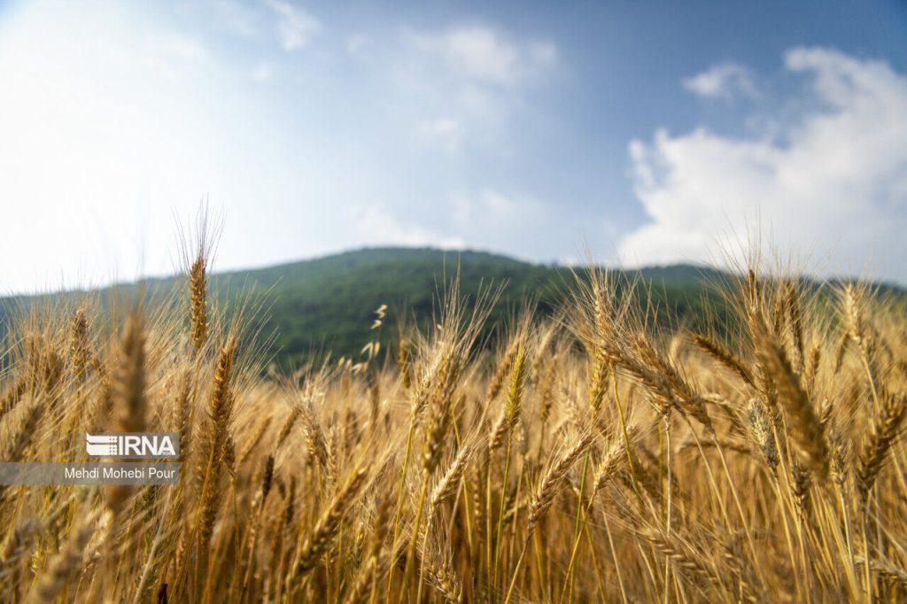 اندیشه شیروان