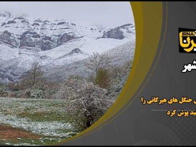 برف بهاری جنگل‌های هیرکانی را سفیدپوش کرد